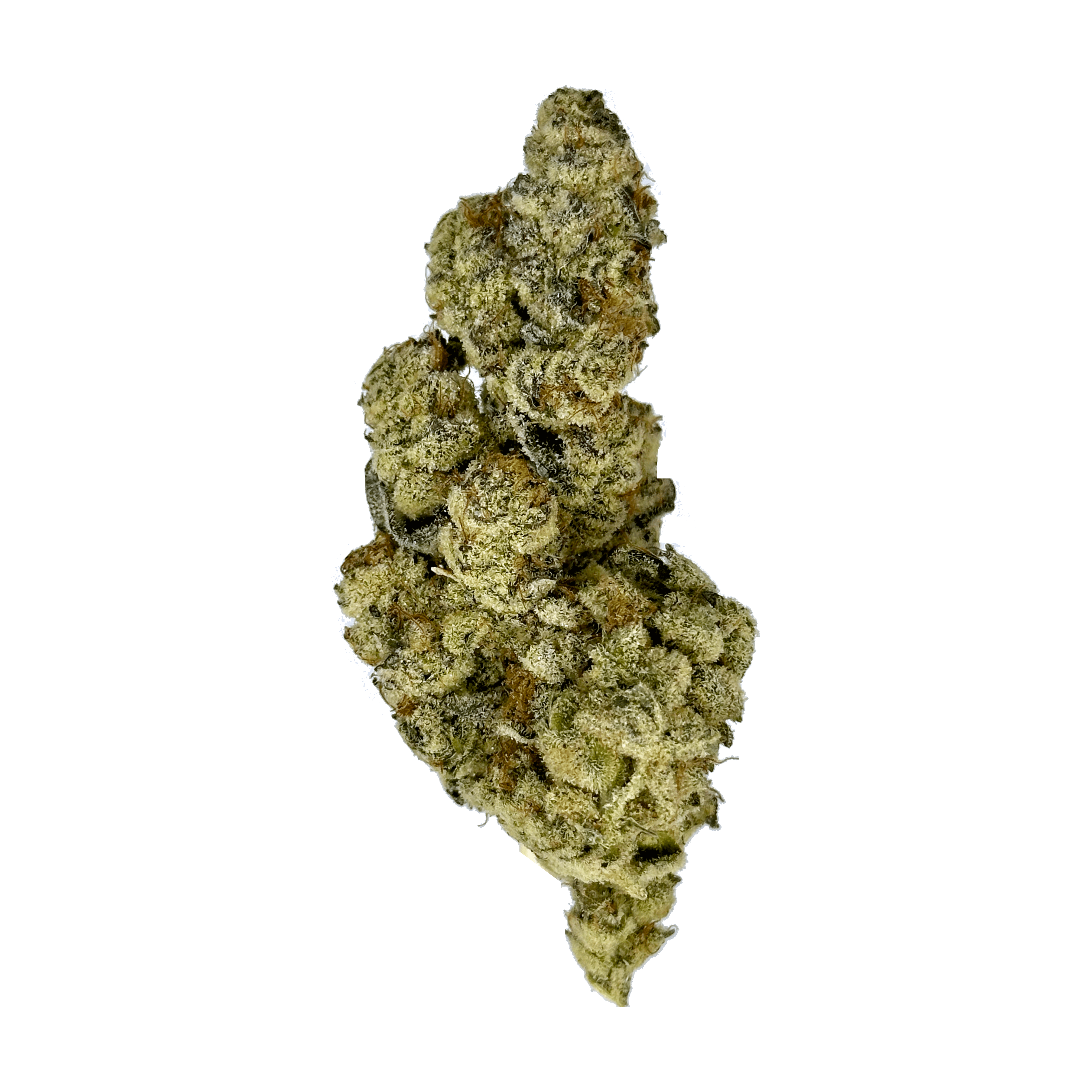 Truffle Cake Strain